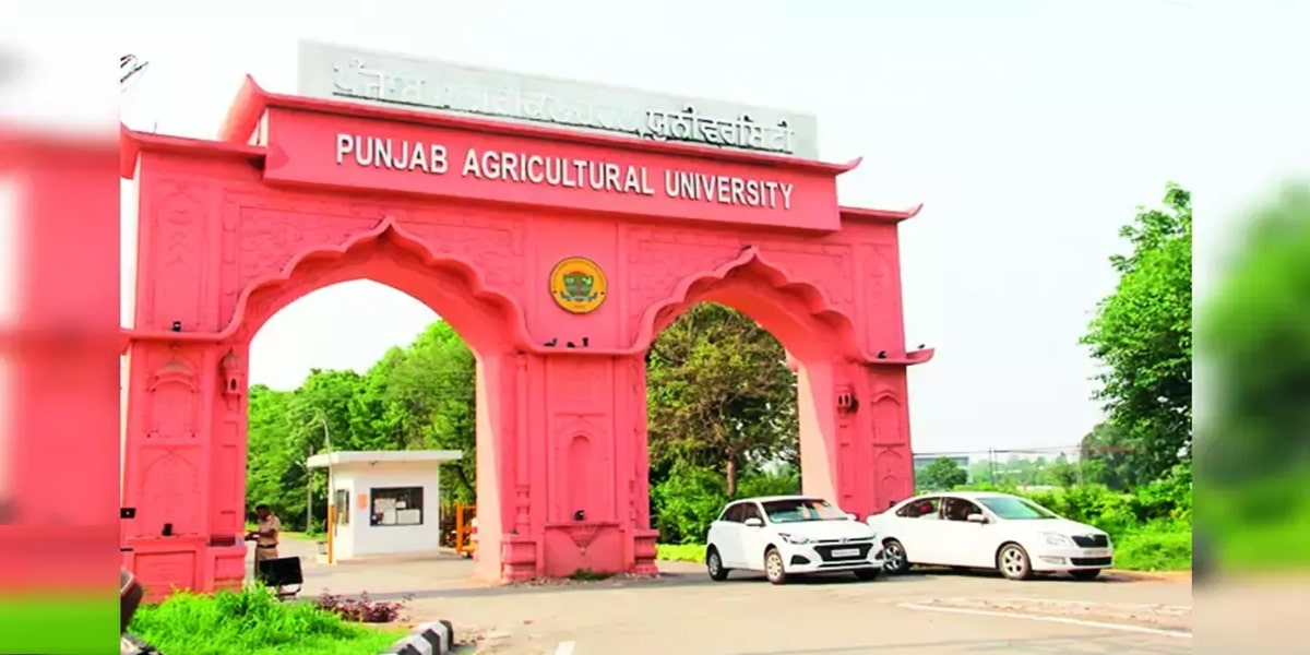 Punjab Agricultural University